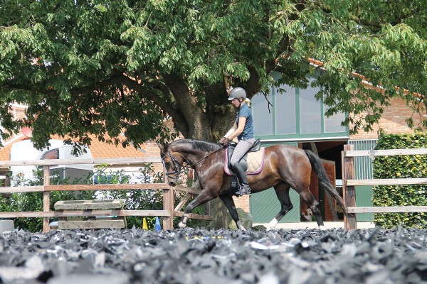 Allwetter-TEX (Kunststoff Recycling Schnipsel)